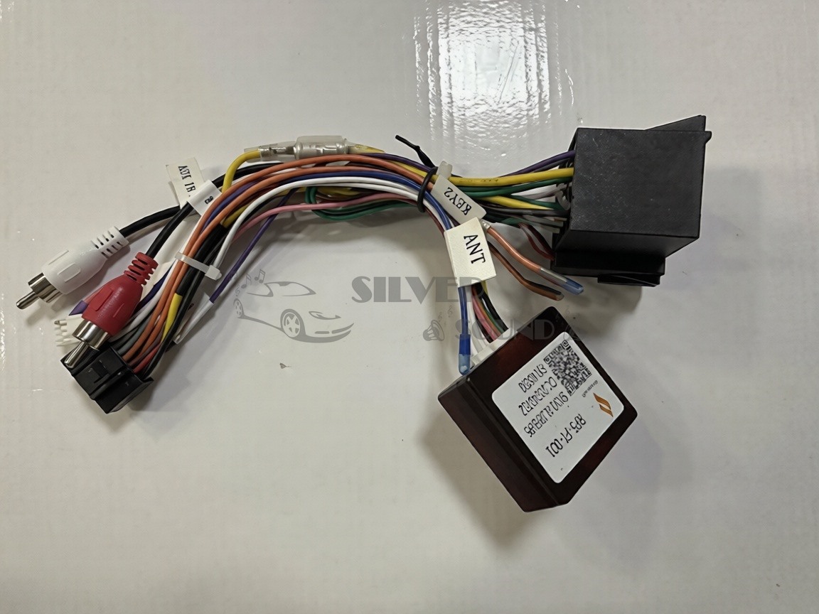Peugeot Citroen Multimedya Soketi Seti ve CanBus PA-05+paf2.2